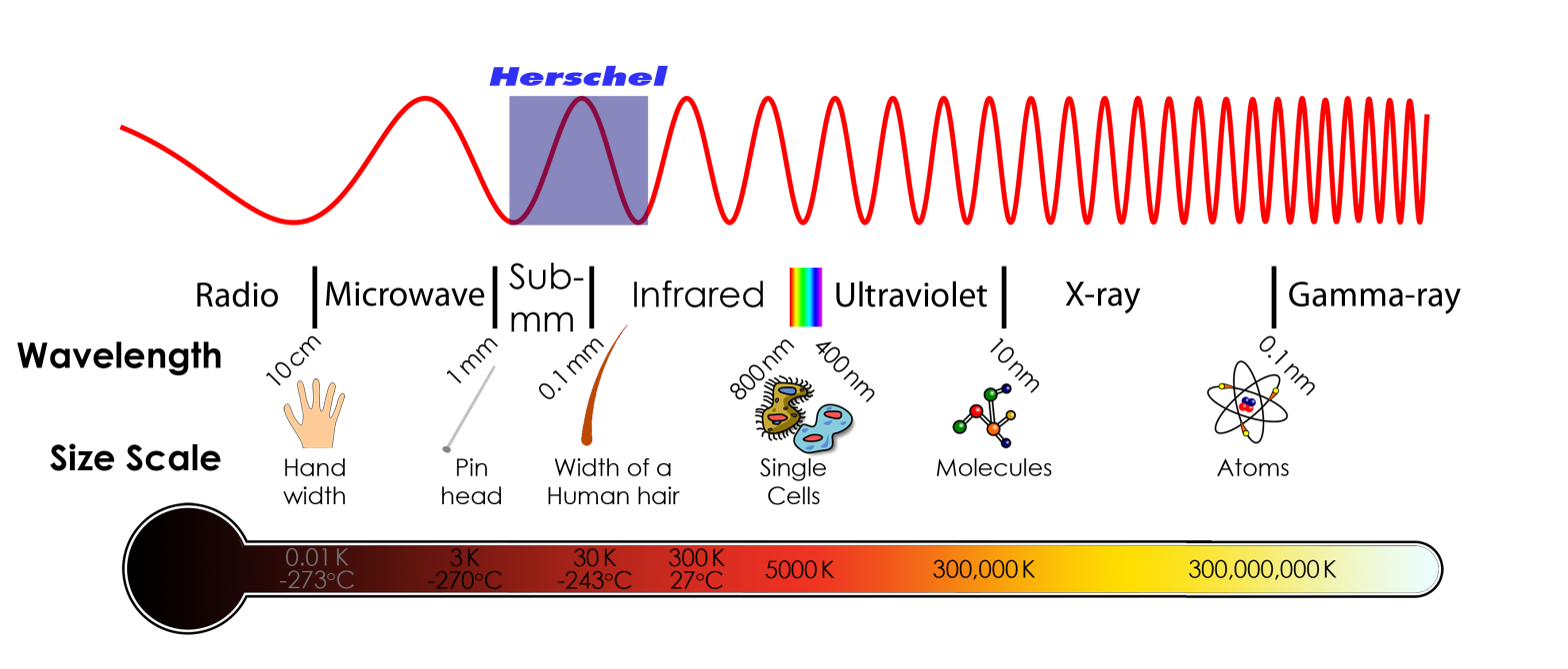 ir light is a longitudinal wave