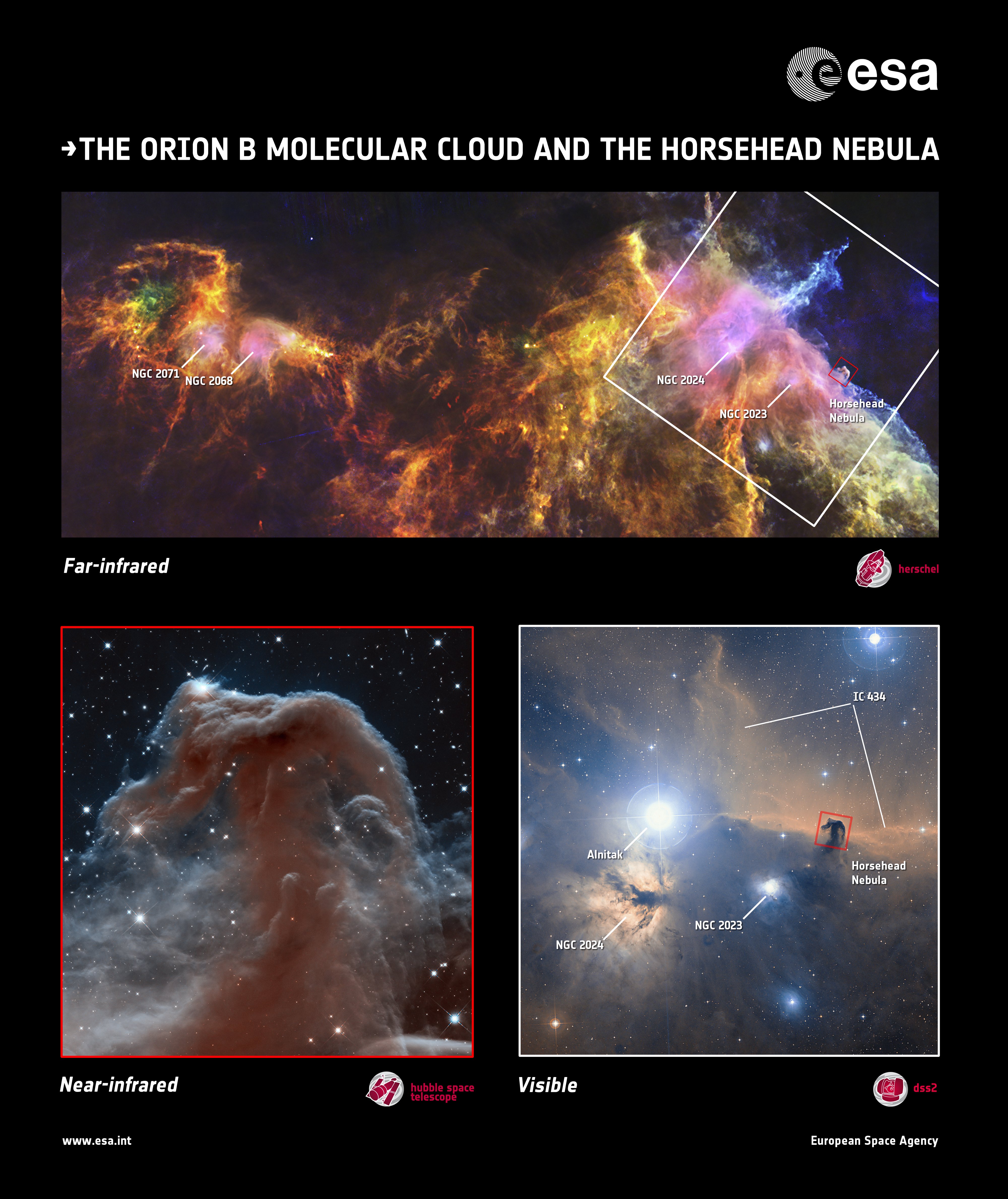 hubble telescope horsehead nebula