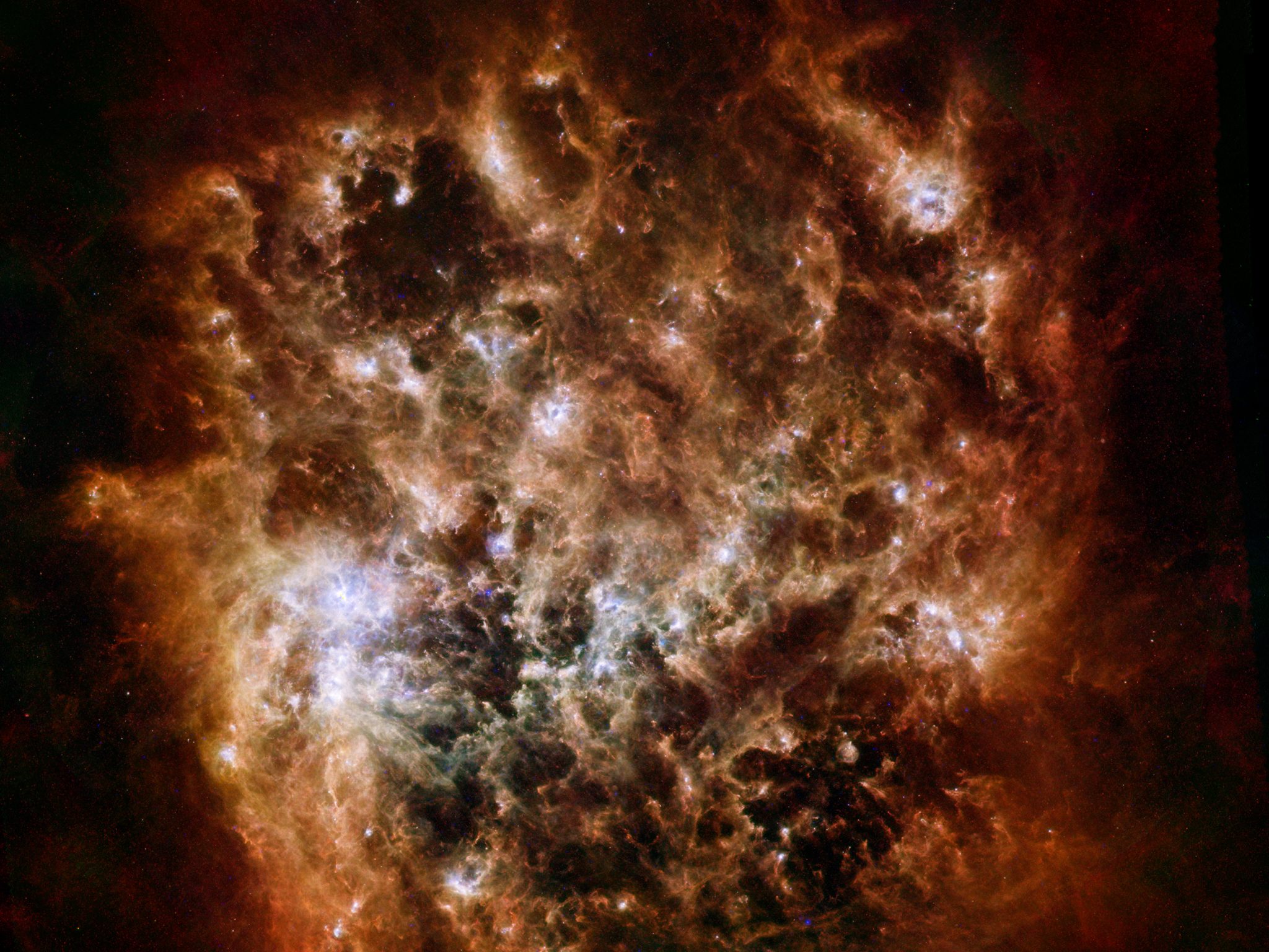 large-magellanic-cloud-herschel-space-observatory